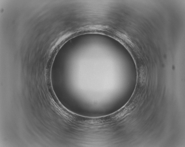 X0000059091404200510211555