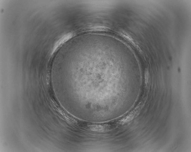 X0000059091405200510211555