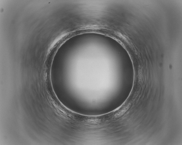 X0000059091406200510211555