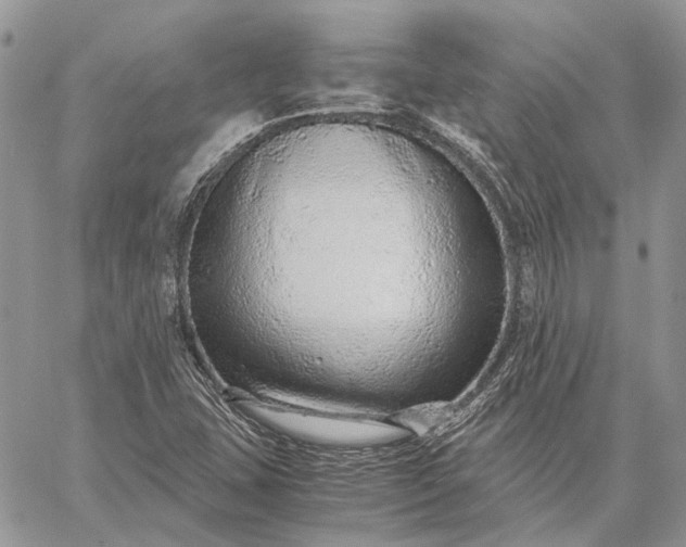 X0000059091407200510211555