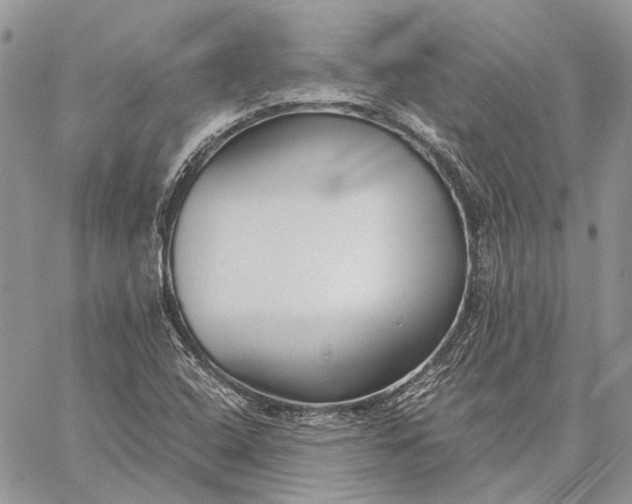 X0000059091408200510211555