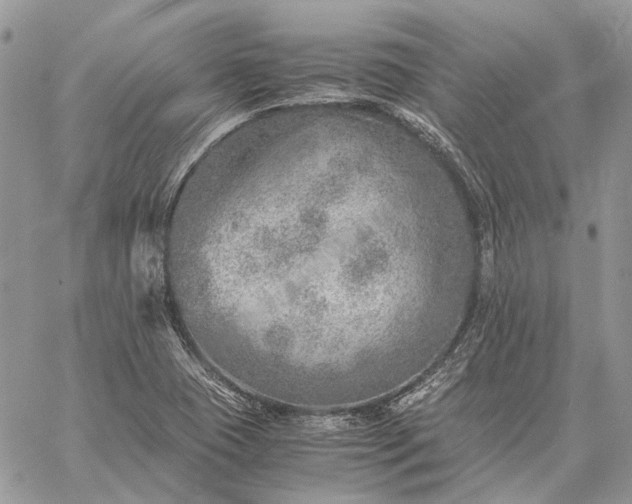 X0000059091409200510211555