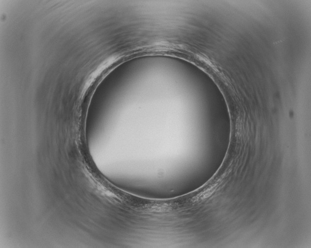 X0000059091410200510211555