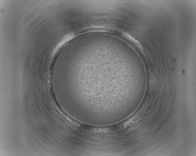 X0000059091411200510211555