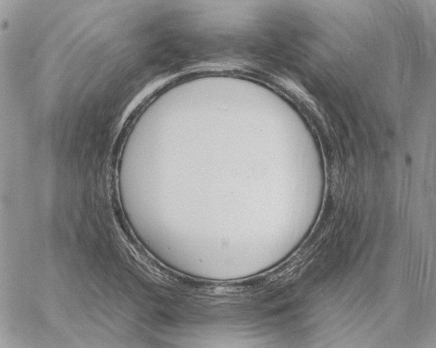 X0000059091412200510211555