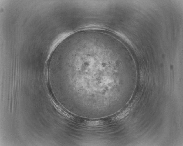 X0000059091413200510211555