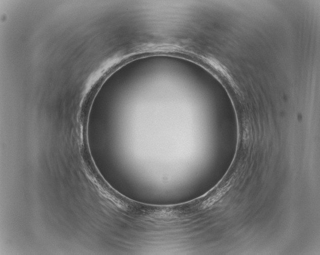 X0000059091414200510211555