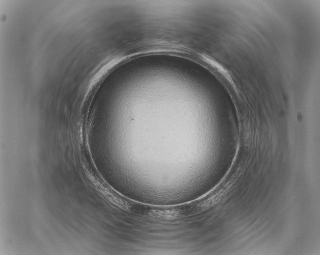 X0000059091415200510211555