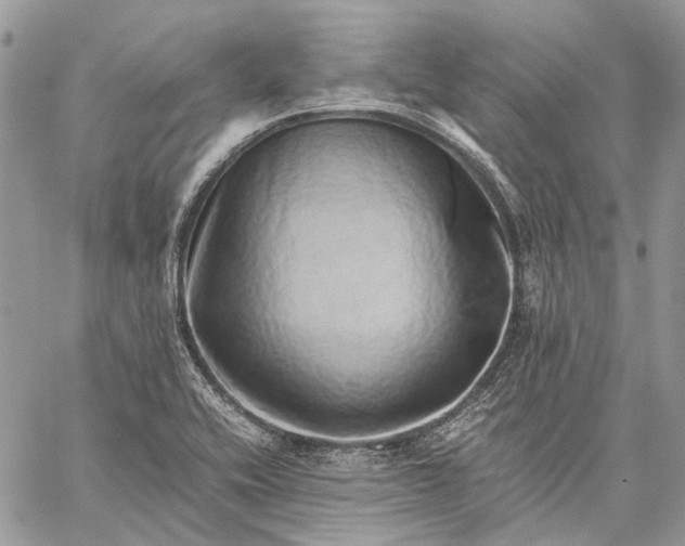 X0000059091416200510211555