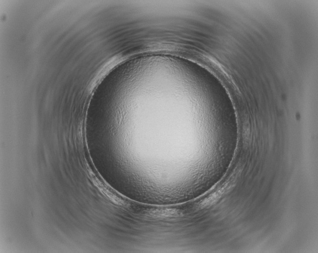 X0000059091417200510211555