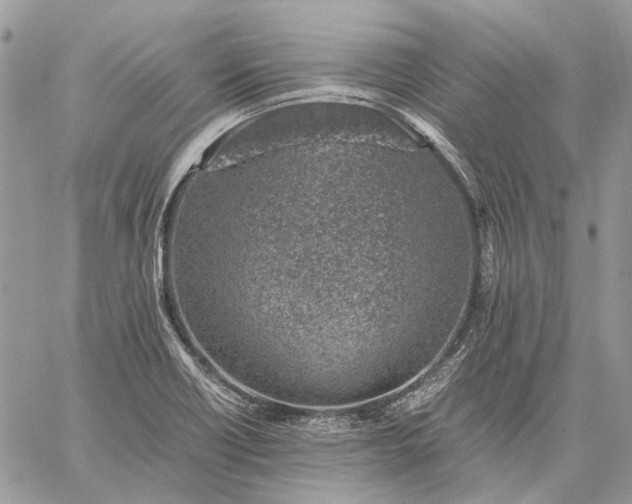 X0000059091418200510211555