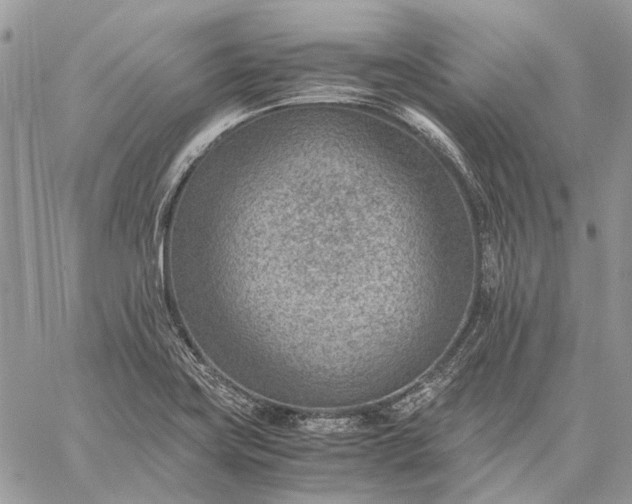 X0000059091419200510211555