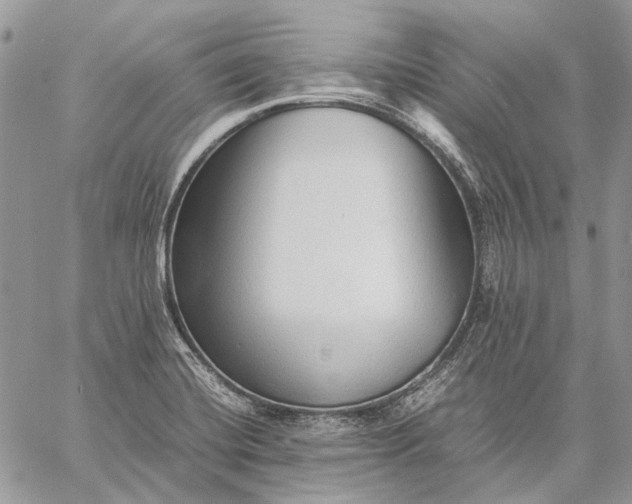 X0000059091420200510211555