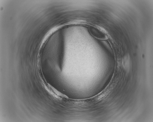 X0000059091421200510211555