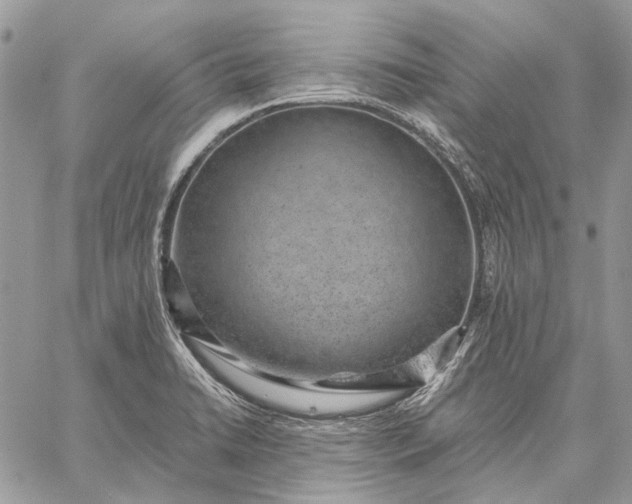 X0000059091422200510211555