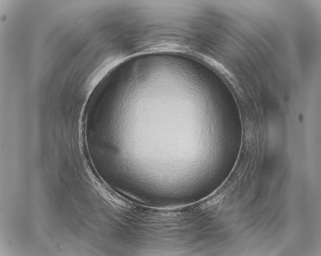 X0000059091423200510211556