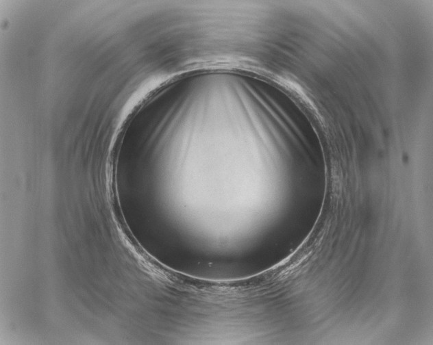 X0000059091424200510211556