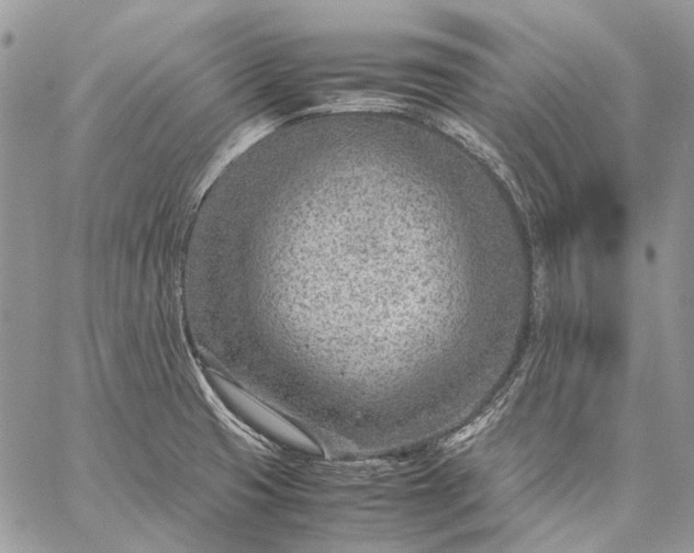 X0000059091425200510211556