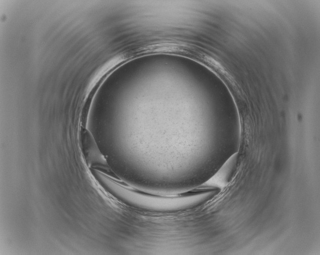 X0000059091426200510211556