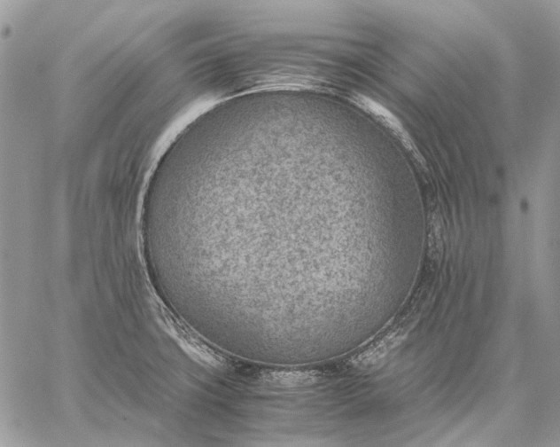 X0000059091427200510211556