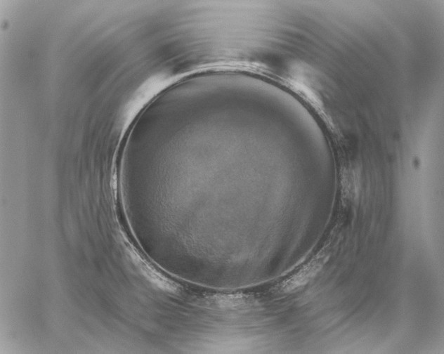 X0000059091428200510211556