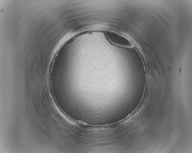 X0000059091429200510211556