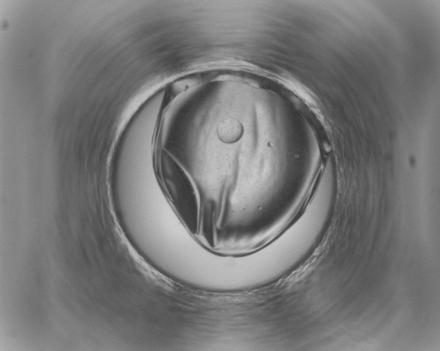 X0000059091430200510211556