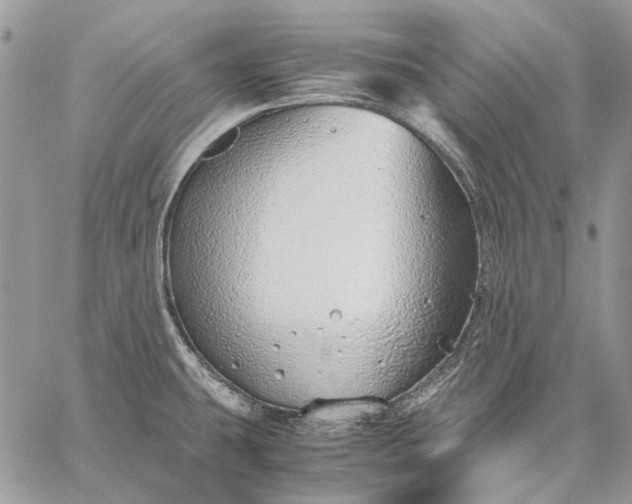 X0000059091431200510211556