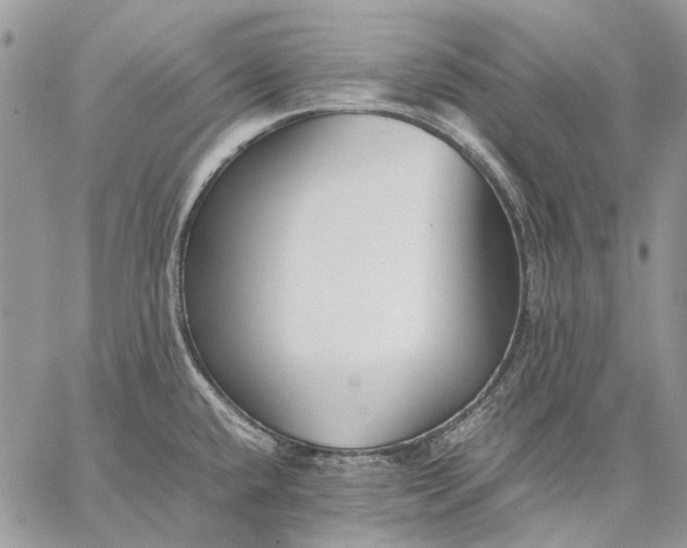 X0000059091432200510211556