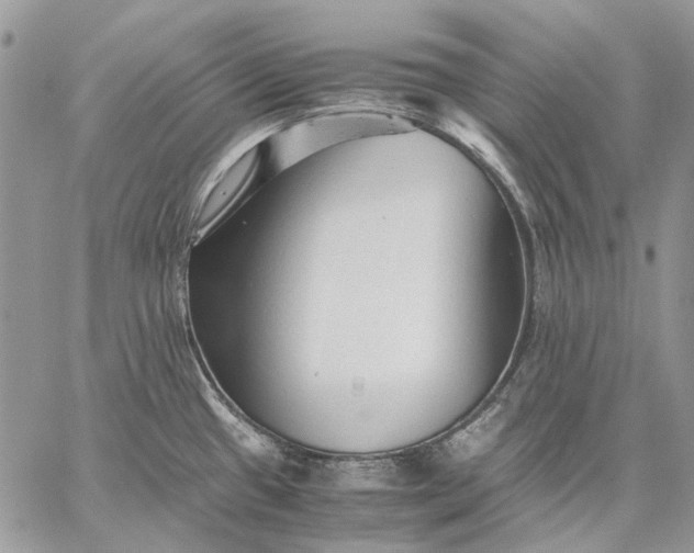 X0000059091433200510211556