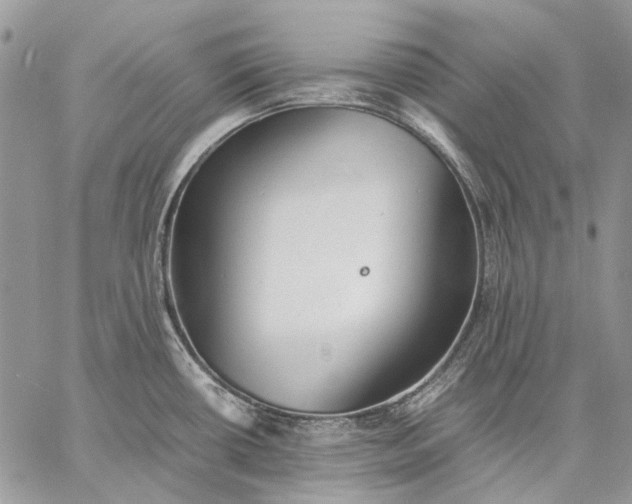 X0000059091434200510211556