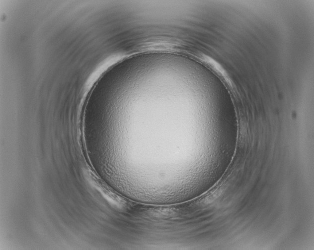 X0000059091435200510211556