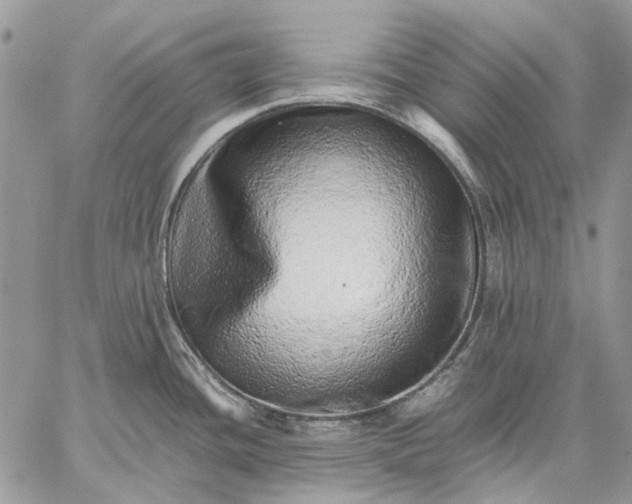 X0000059091436200510211556