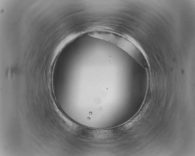 X0000059091437200510211556