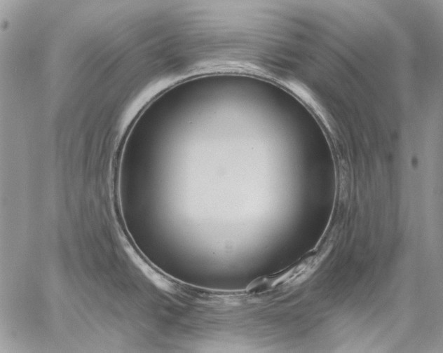 X0000059091438200510211556