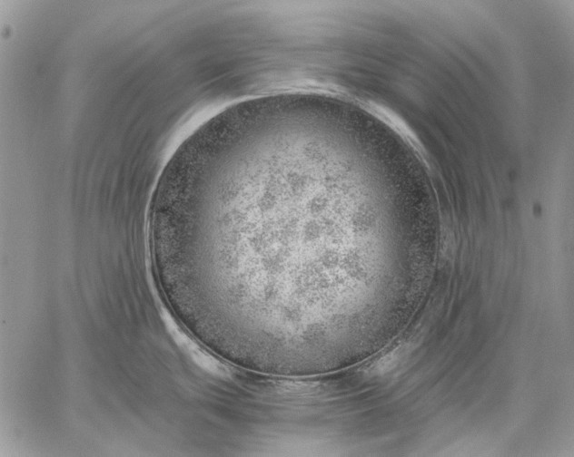 X0000059091439200510211556