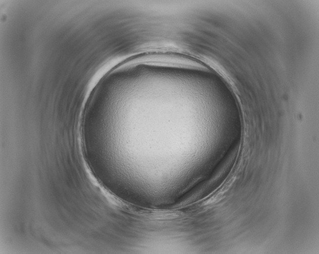 X0000059091440200510211556