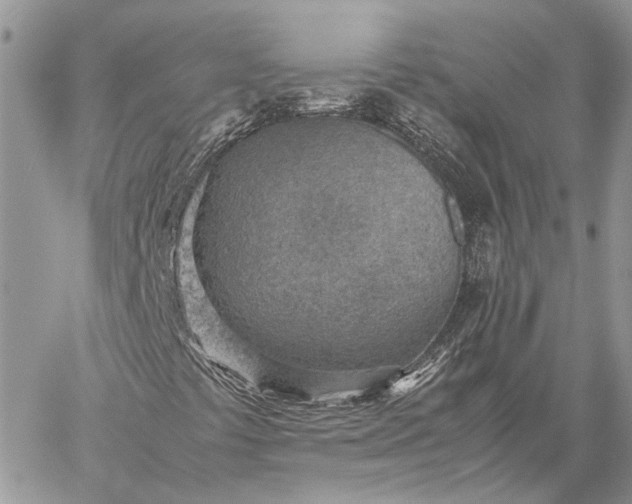 X0000059091441200510211555