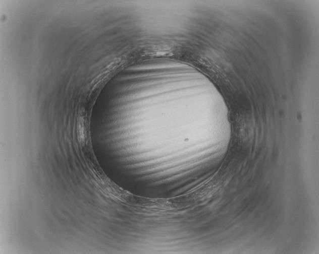 X0000059091442200510211555