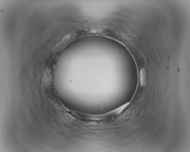 X0000059091443200510211555