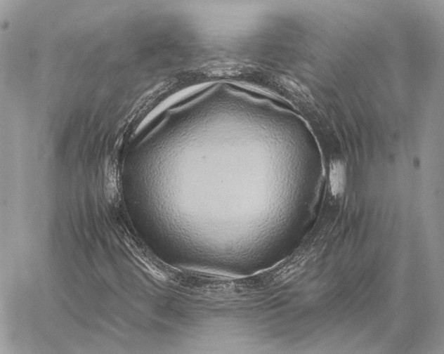 X0000059091444200510211555