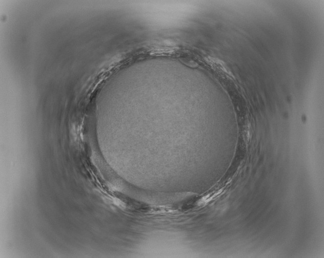 X0000059091445200510211555