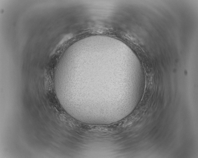 X0000059091446200510211555