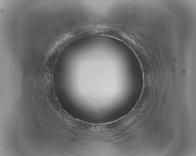 X0000059091447200510211555