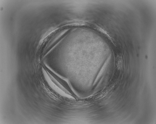 X0000059091448200510211555