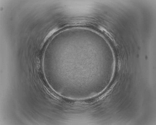 X0000059091449200510211555