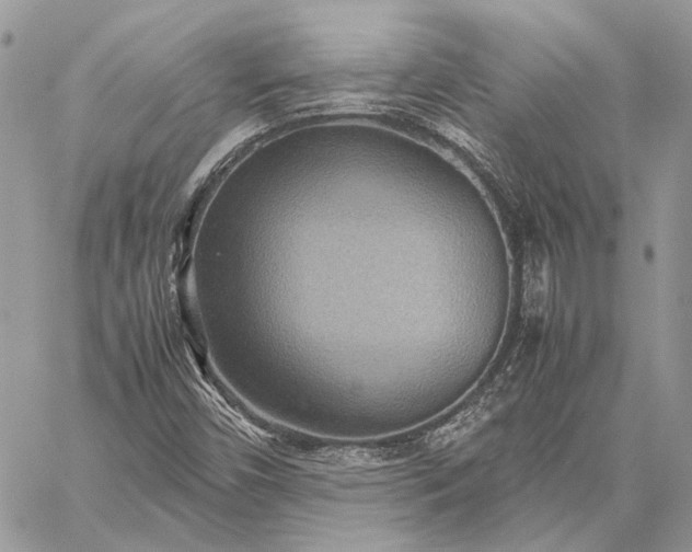 X0000059091450200510211555