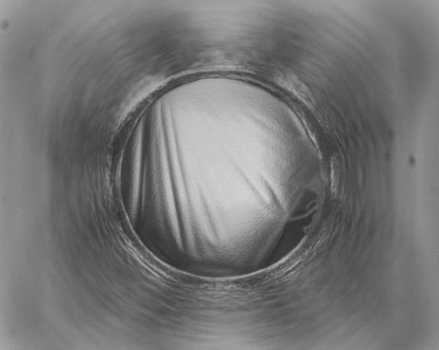 X0000059091452200510211555