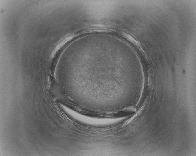 X0000059091453200510211555