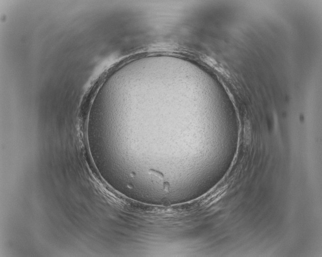 X0000059091454200510211555